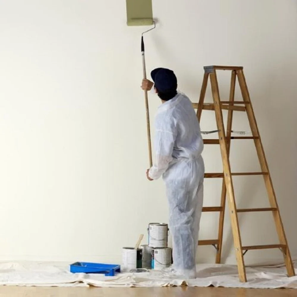 cuanto cuesta un pintor en Madrid